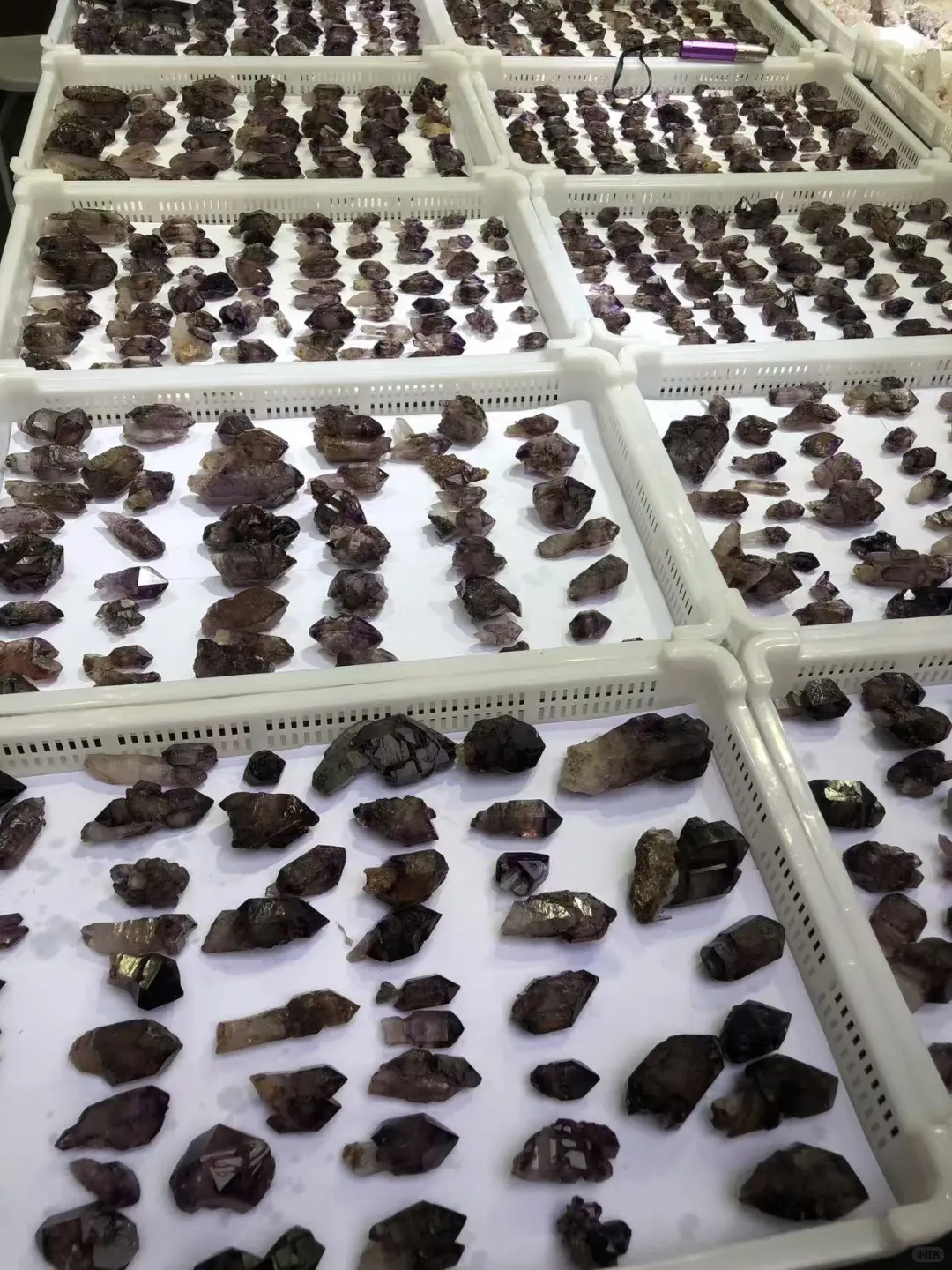 东海国际水晶展会