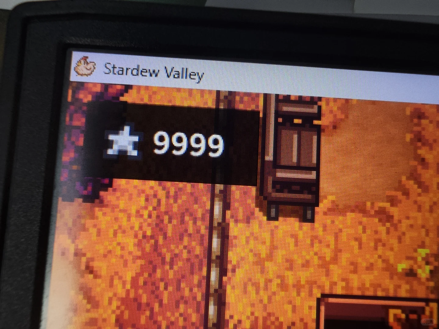 星露谷展览会9999星星币教程