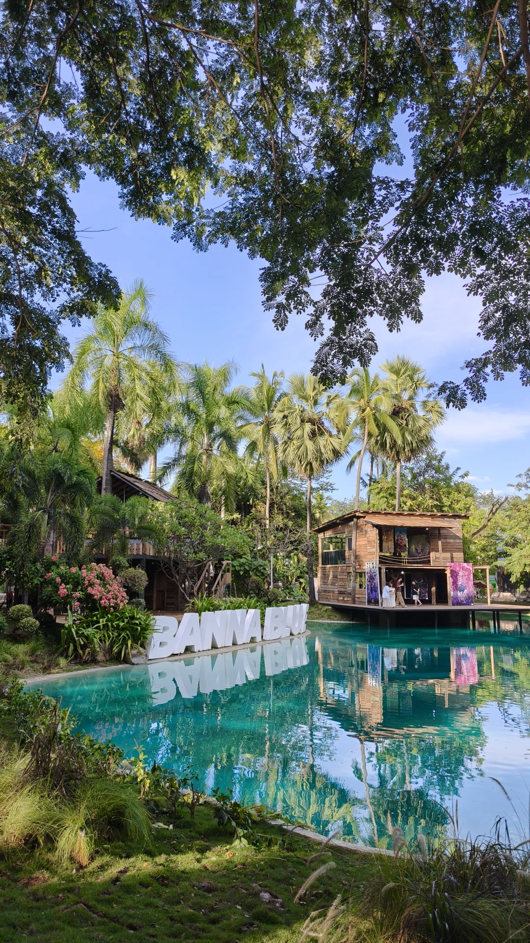 西双版纳花卉园集市·在树下(蓝湖超出片)