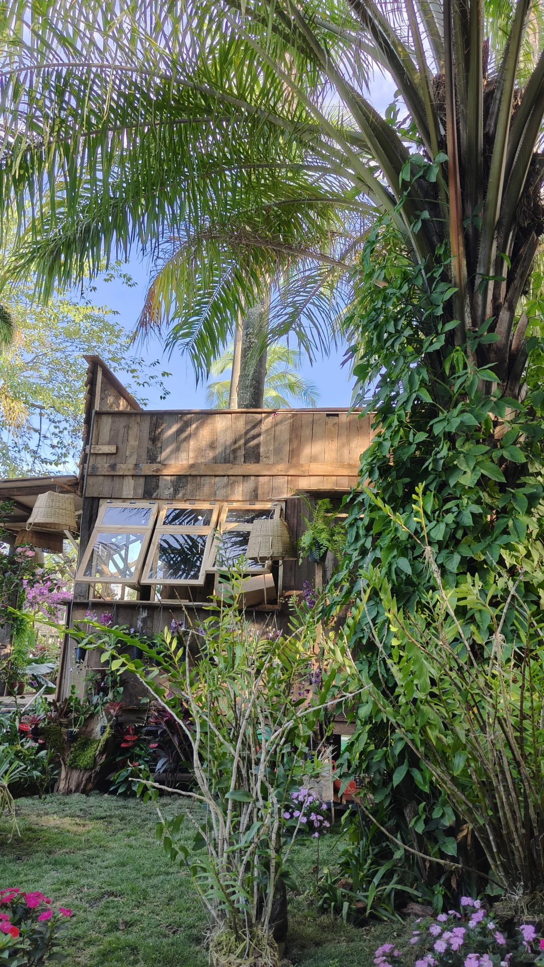 西双版纳花卉园集市·在树下(蓝湖超出片)