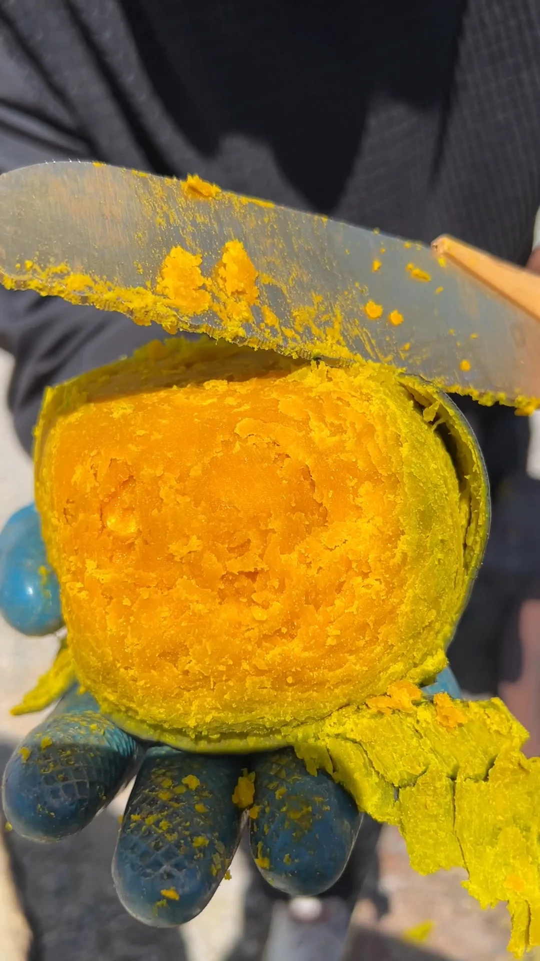 天呐！不好了！贝贝南瓜上展销会了！