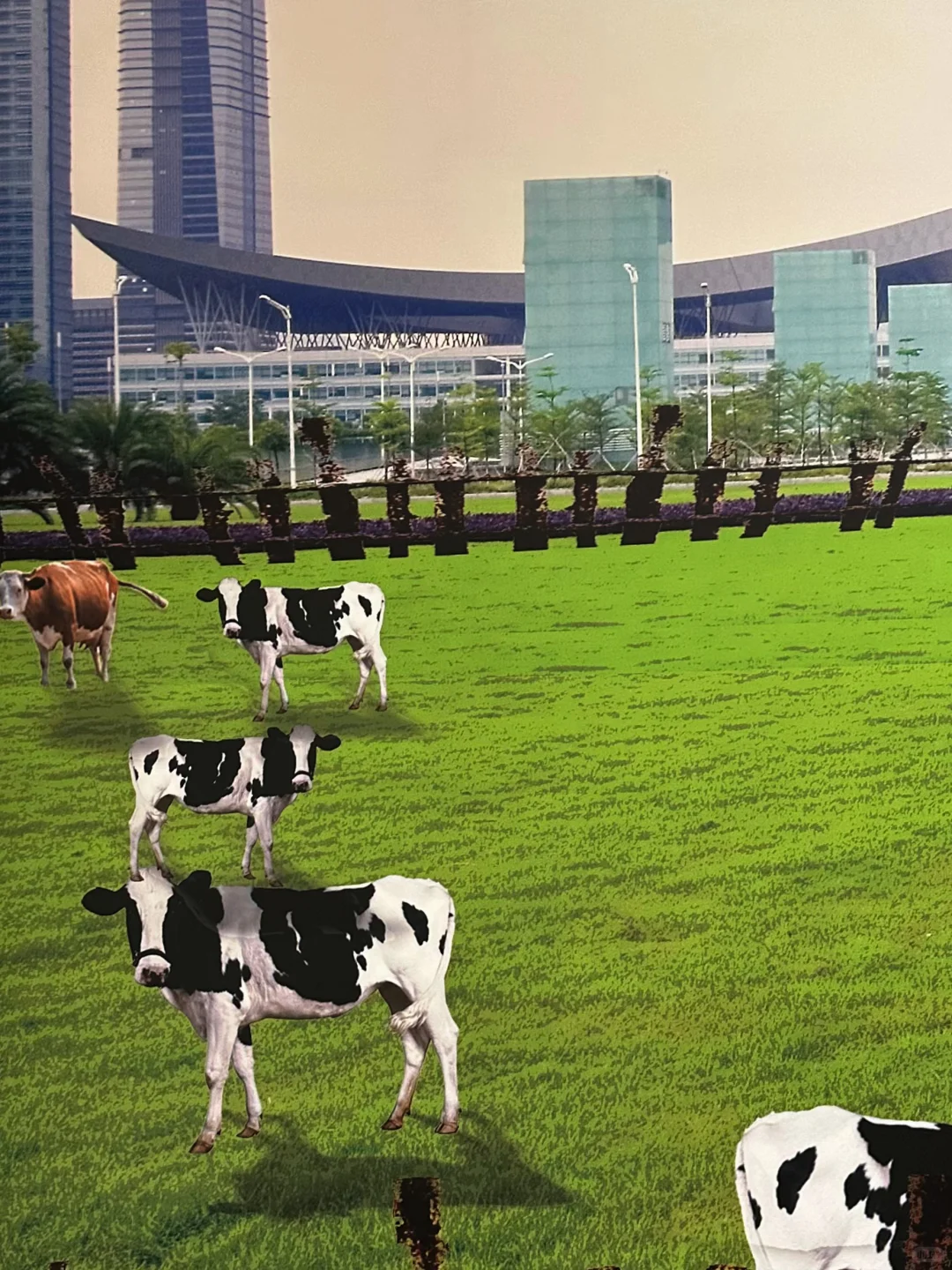 深圳?免费‼️新展！?道路是一部流动的史诗！