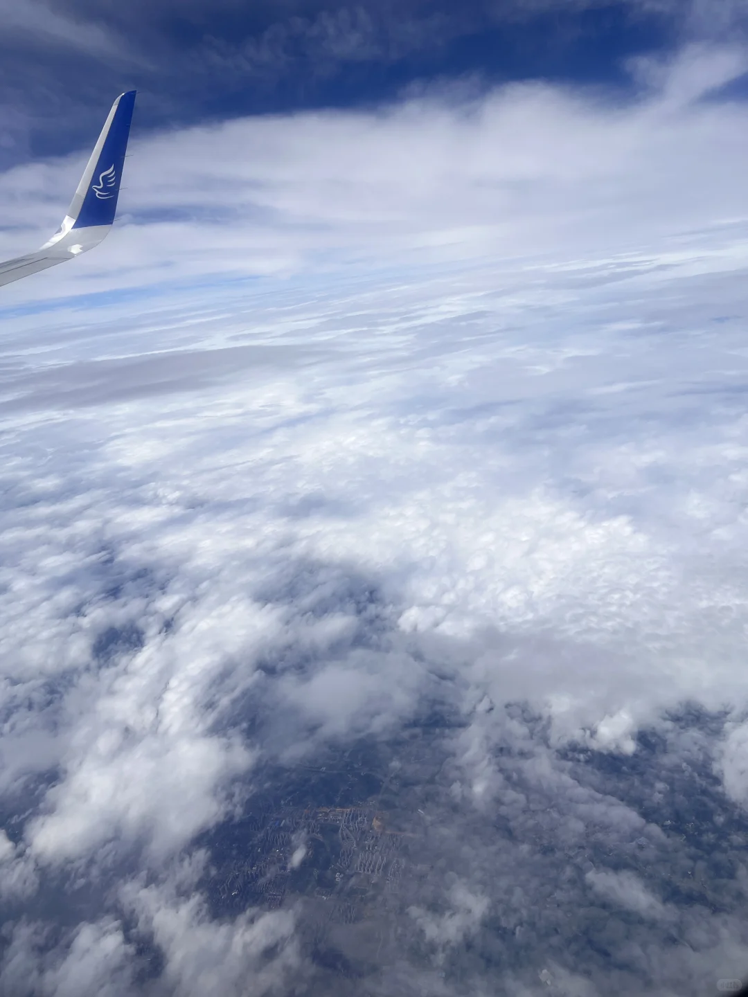 河北邯郸来深圳讨饭