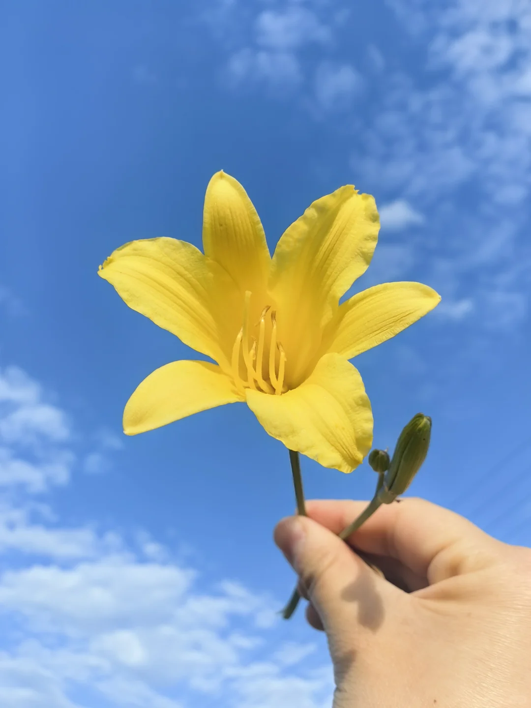 2025年预算编制总流程