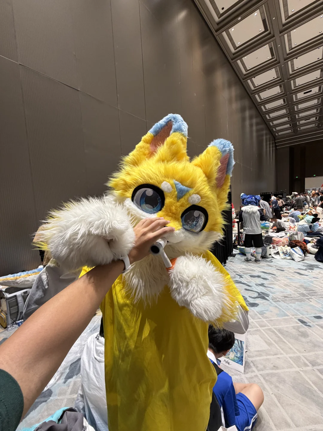 Hi furry值得五星好评