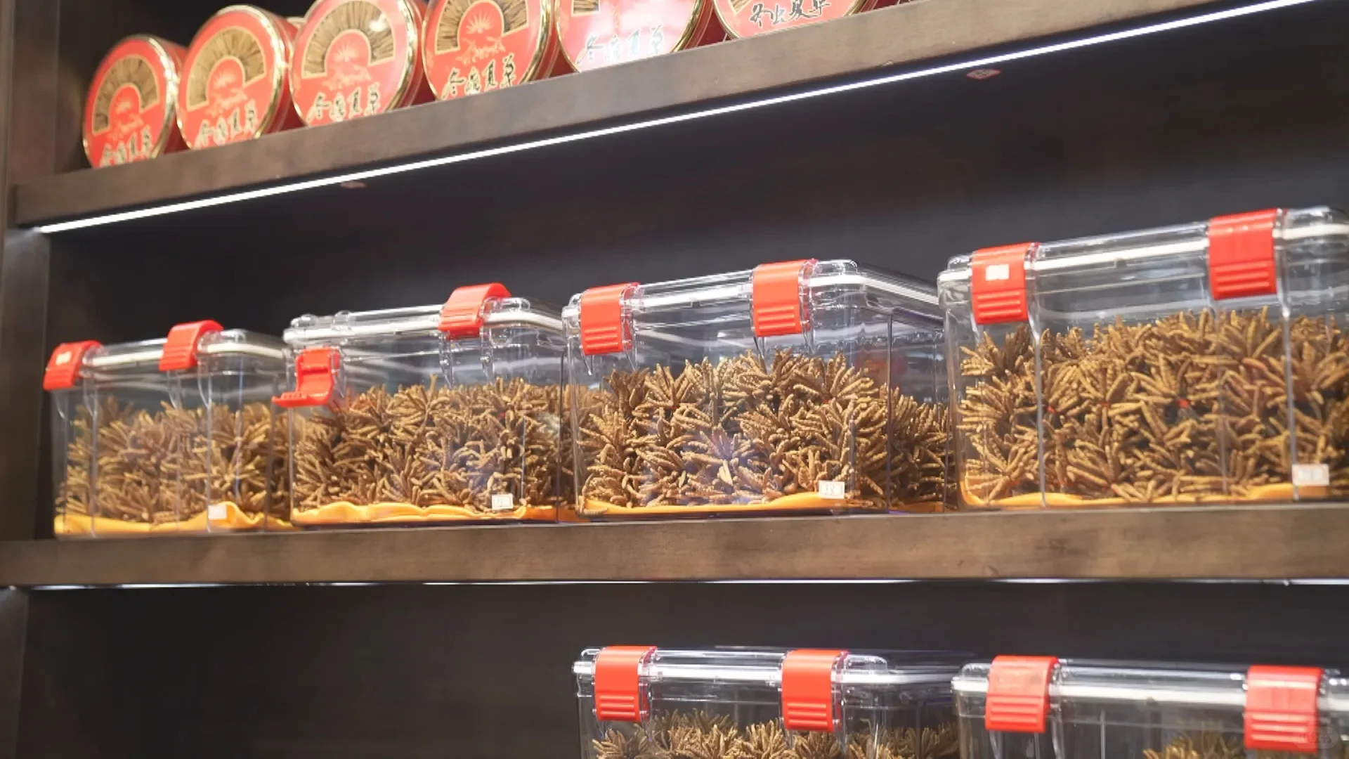 金秋十月千年药都再续华章