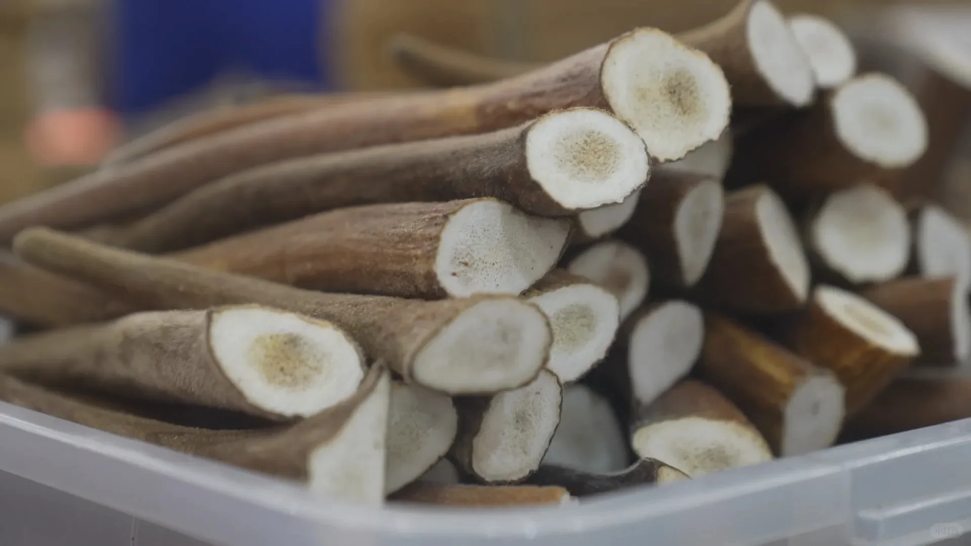 金秋十月千年药都再续华章