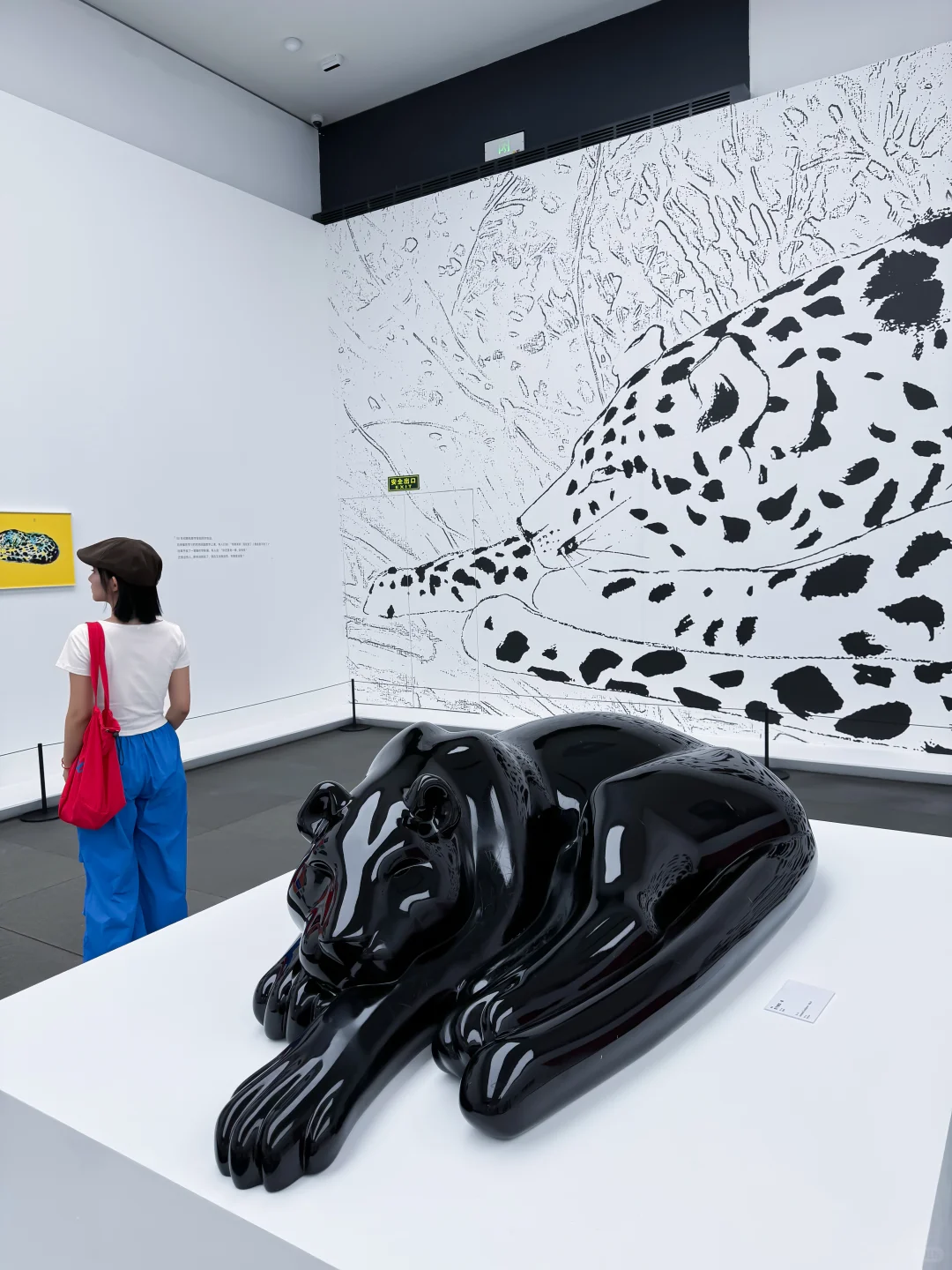 深圳新展?好看…每一张都是能当头像的程度