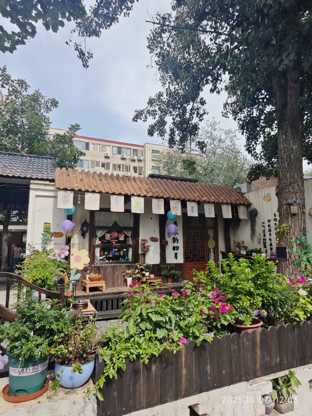 石家庄太超前了！！！外贸街6号