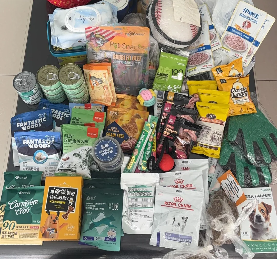 呼和浩特宠物展