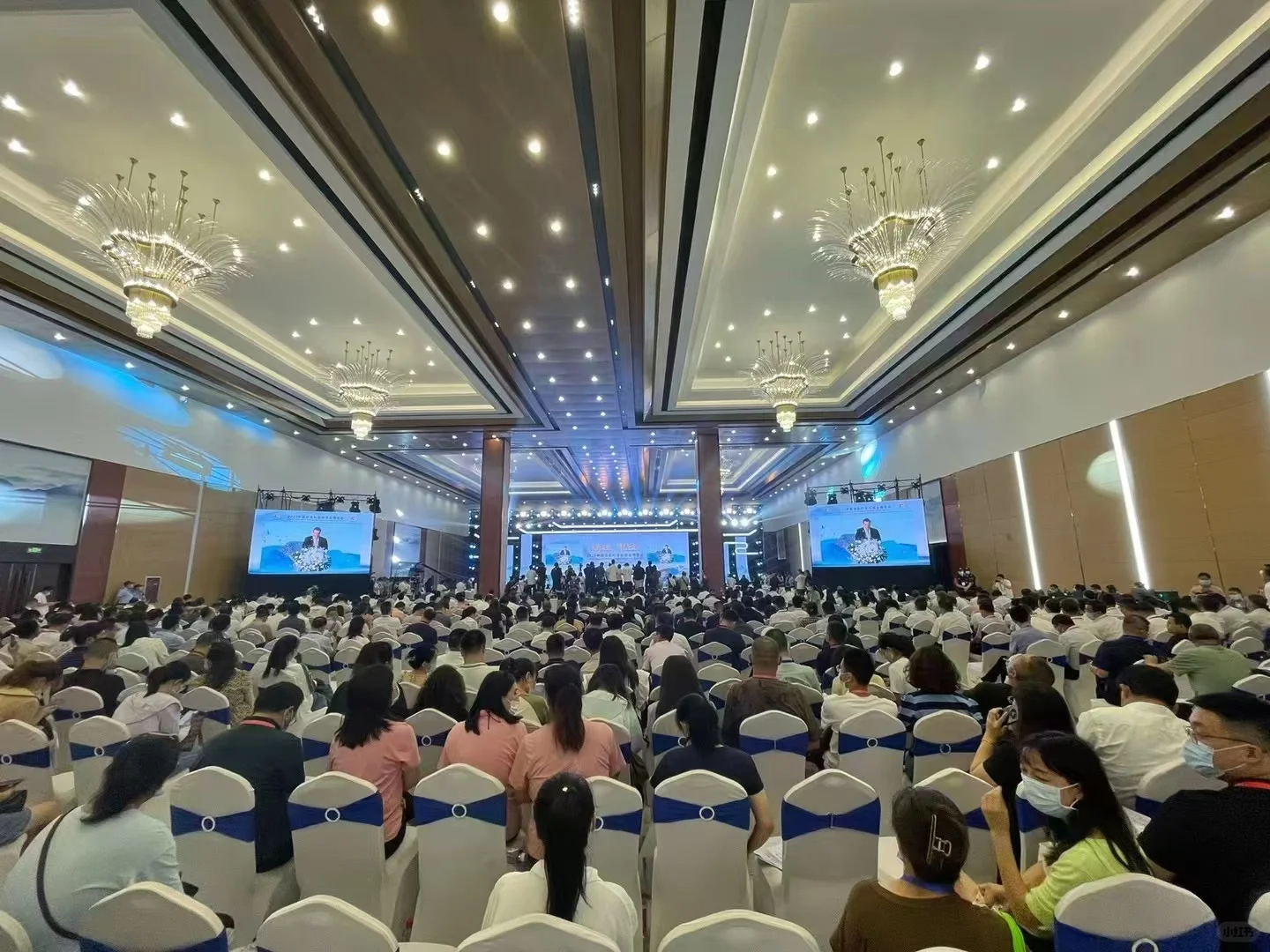 石家庄充场人员提供，充场团队，充场观众