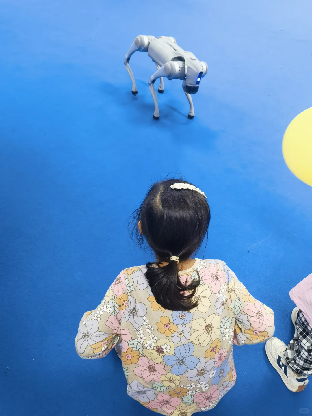 国庆逛了北京科技节,拔草了