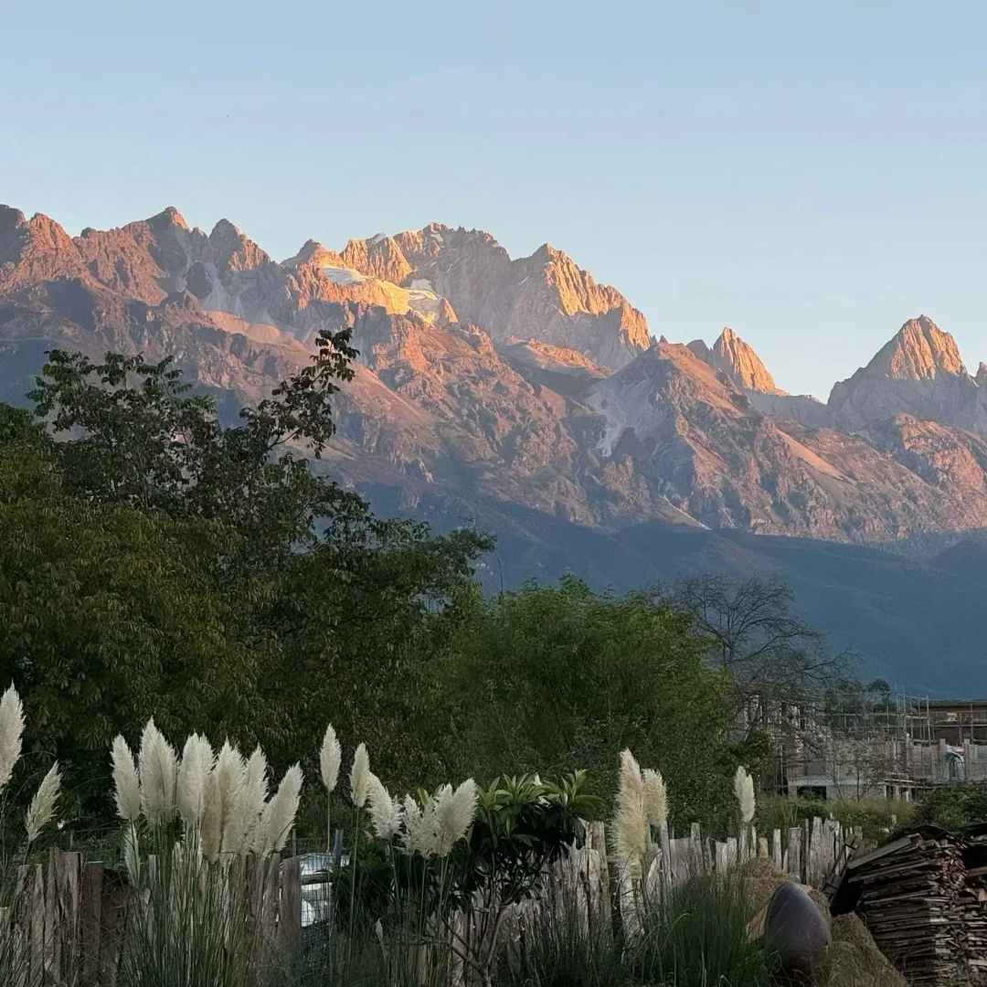 我投资，你出项目，有好项目的来探讨