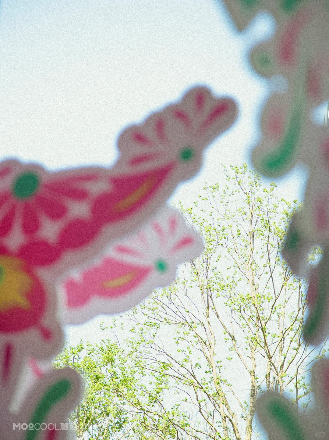 薛定谔的剪纸?✨