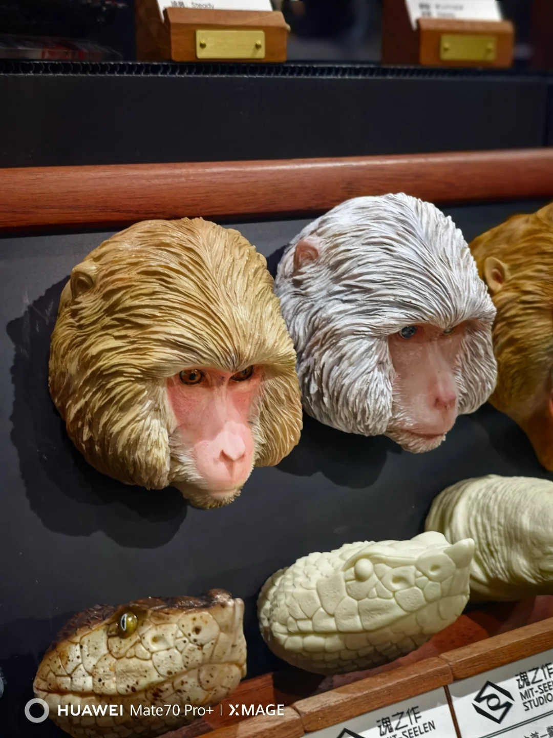 上海 2025wf展会 个人展台藏龙卧虎