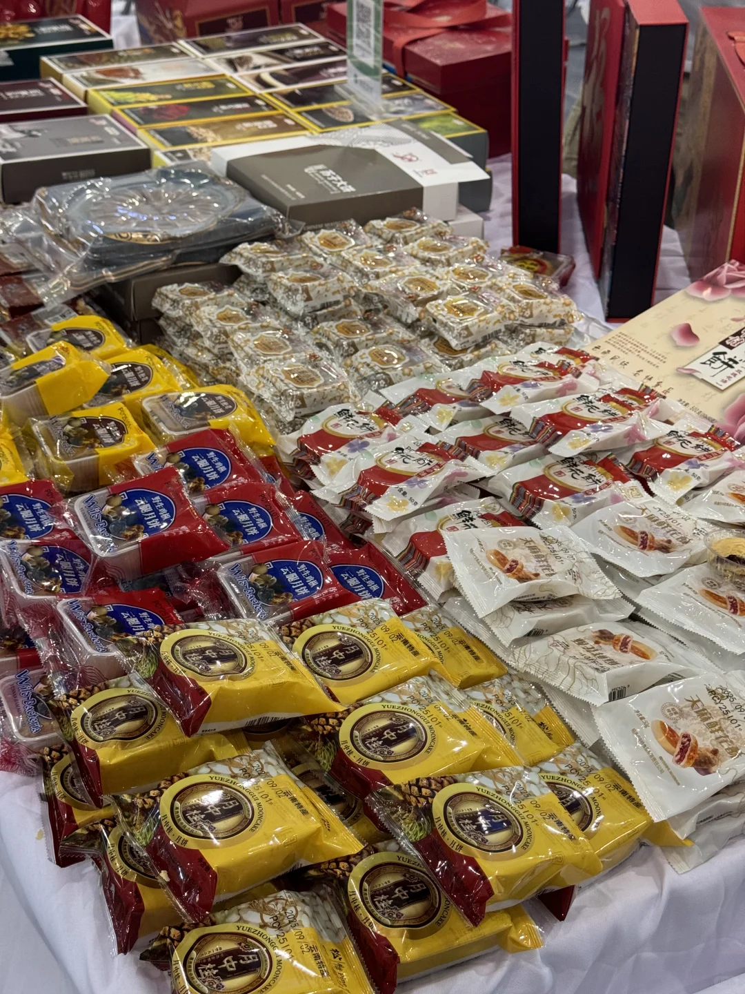 逛农博会逛到腿软!这波真的没白来