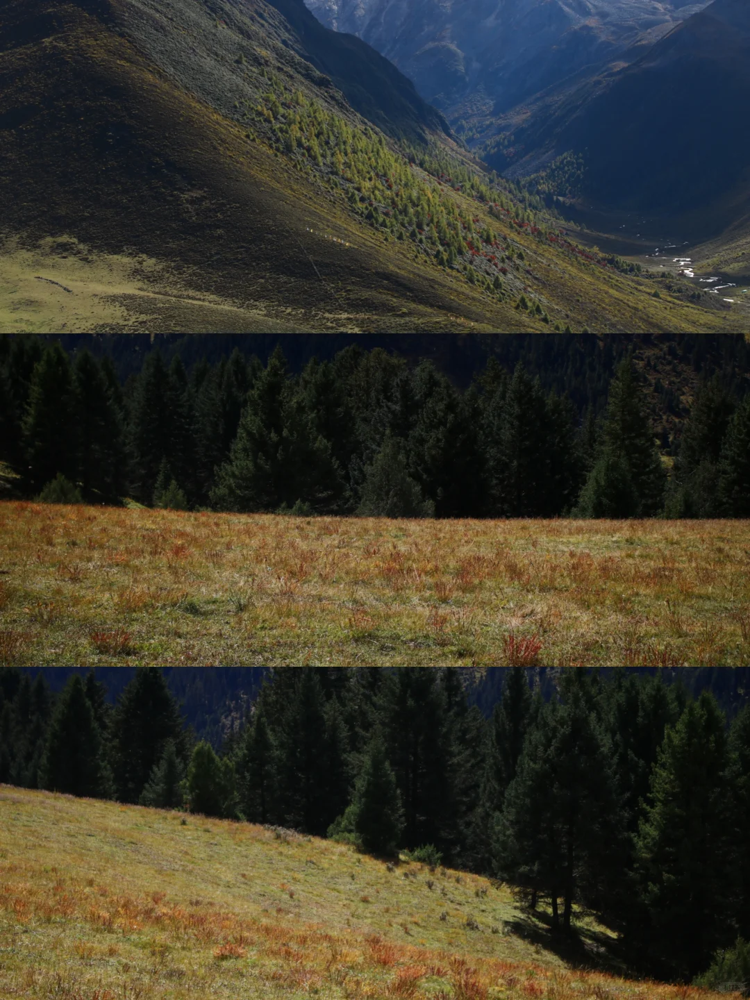 成都—甘孜小众路线,反向游不堵车