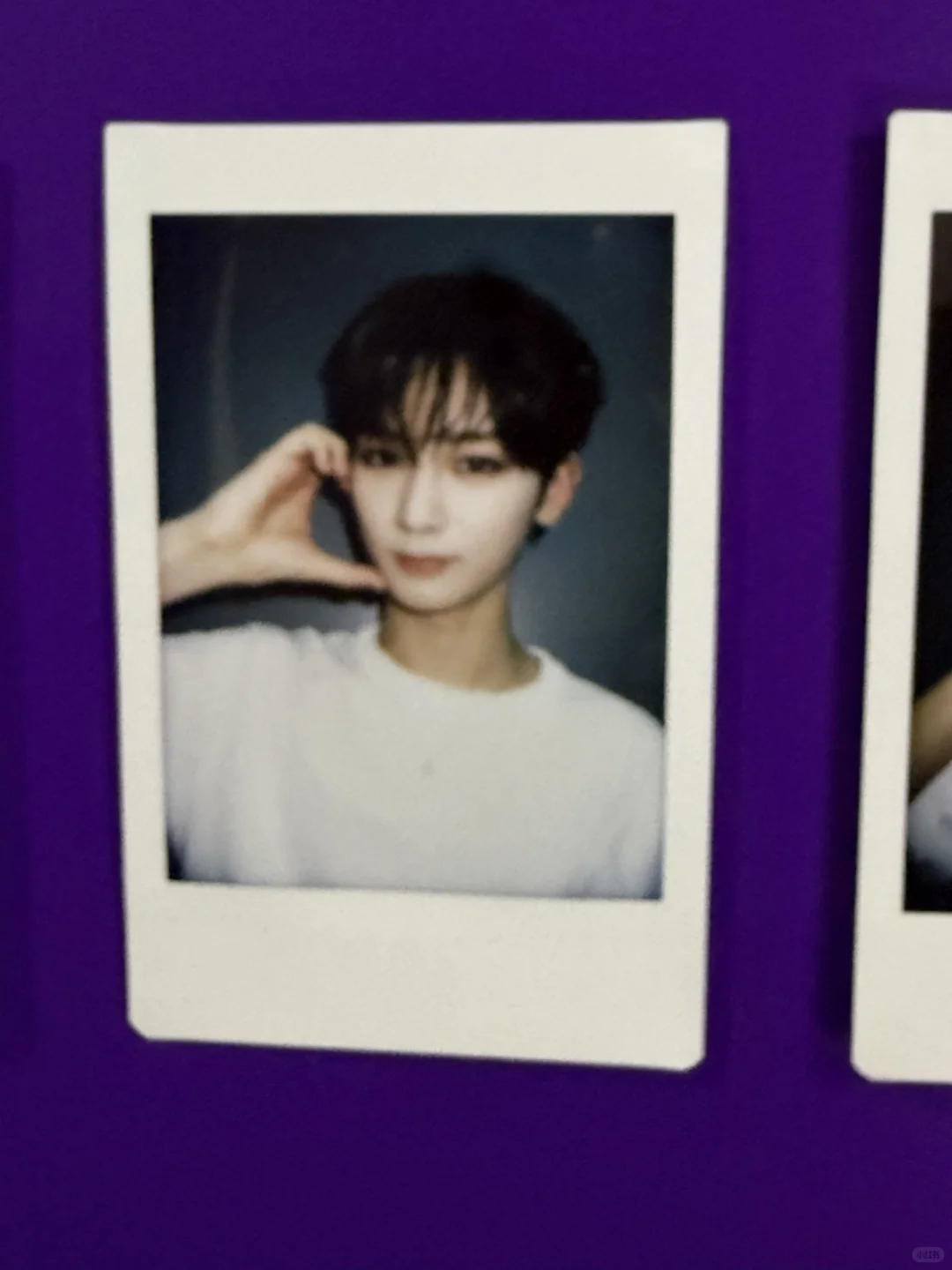 安信展会照片（持更