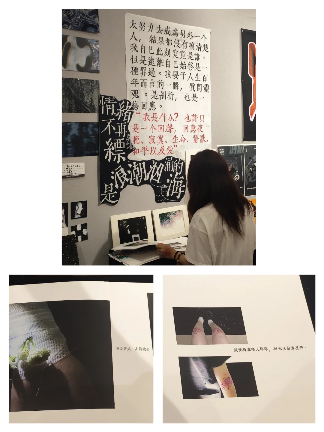 韶关学院｜毕业设计展