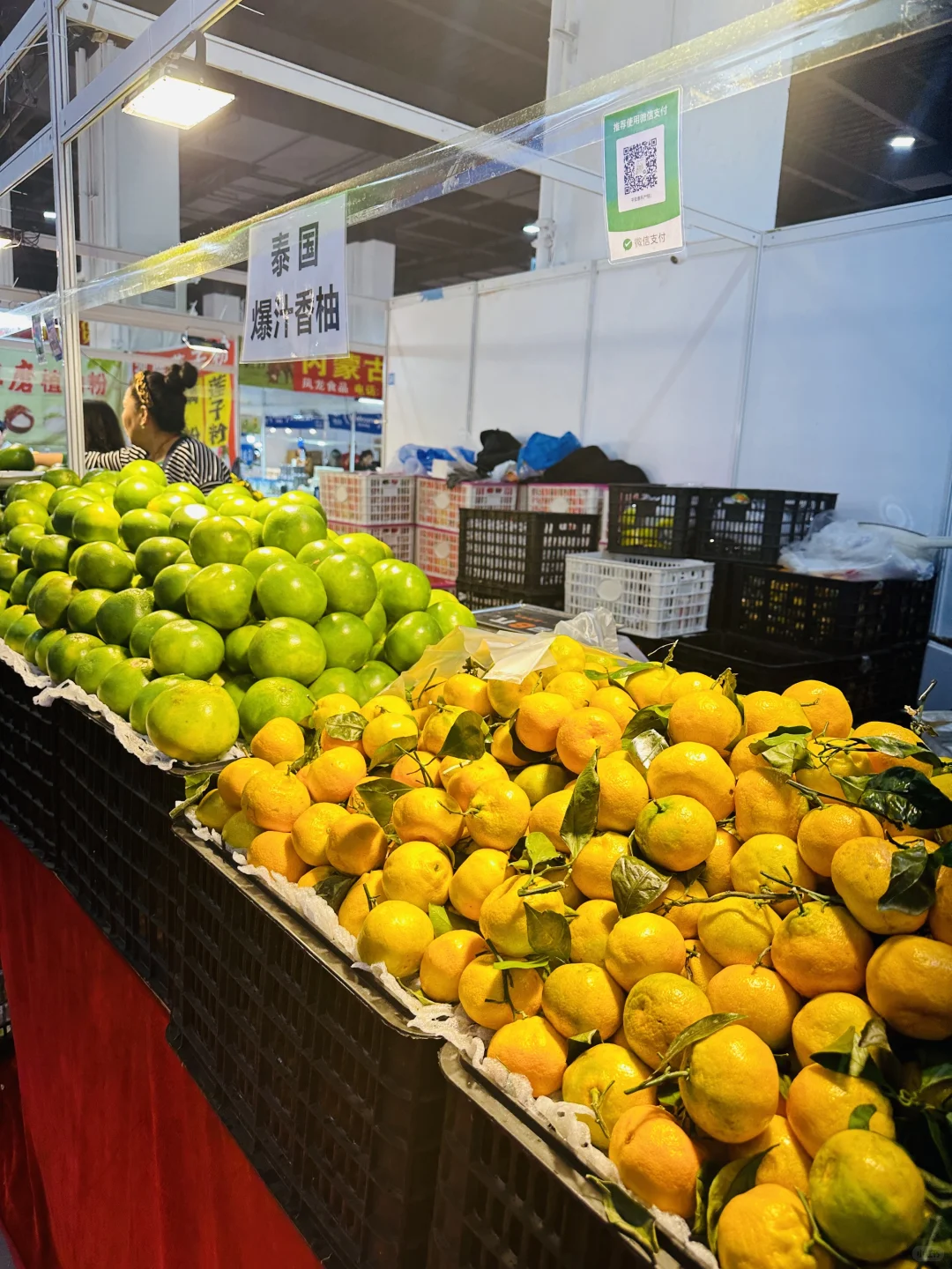 呼和浩特?东北亚博览会去啦?