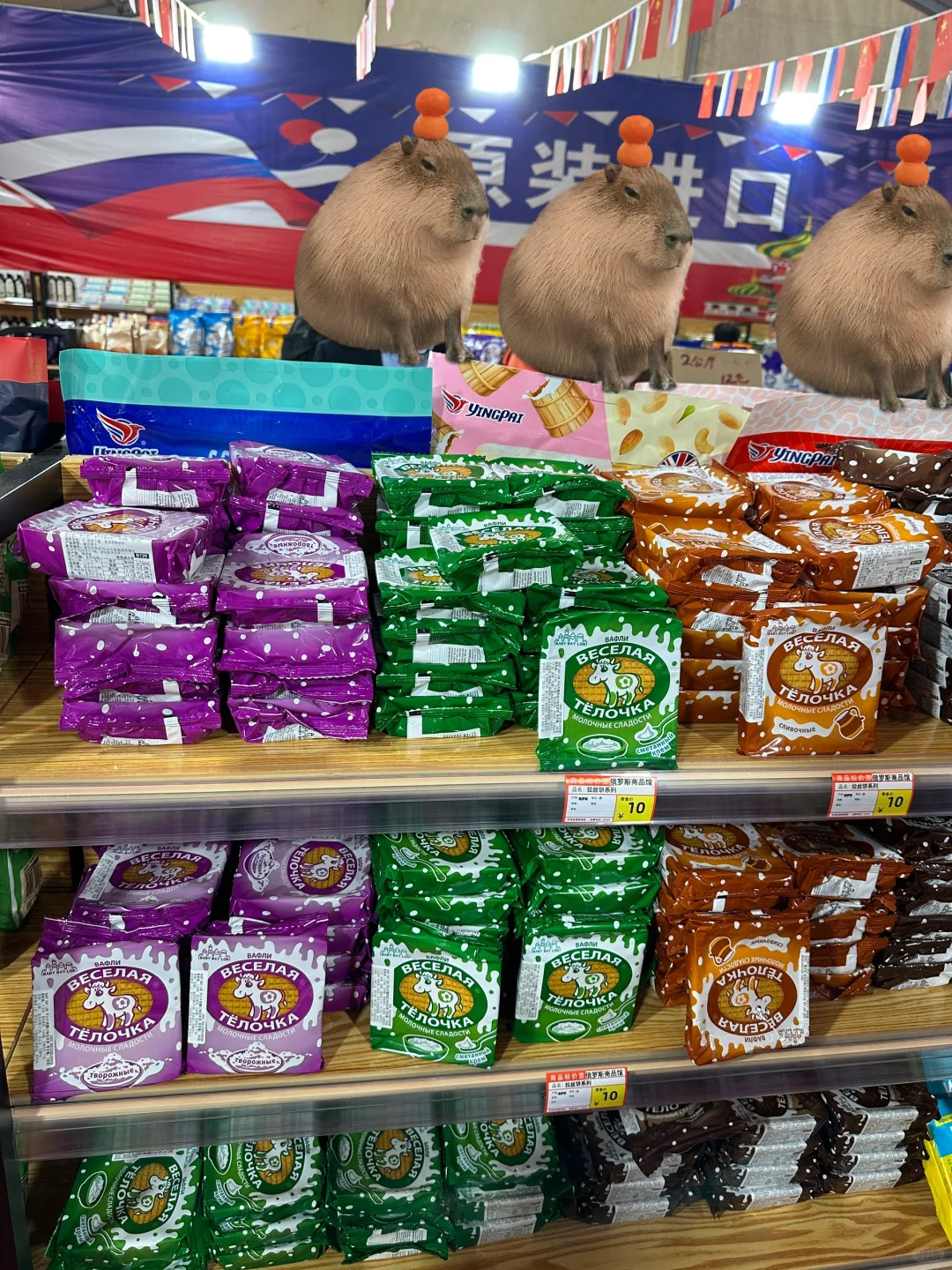 ?盐城中俄展销会，超超超大！大列巴！