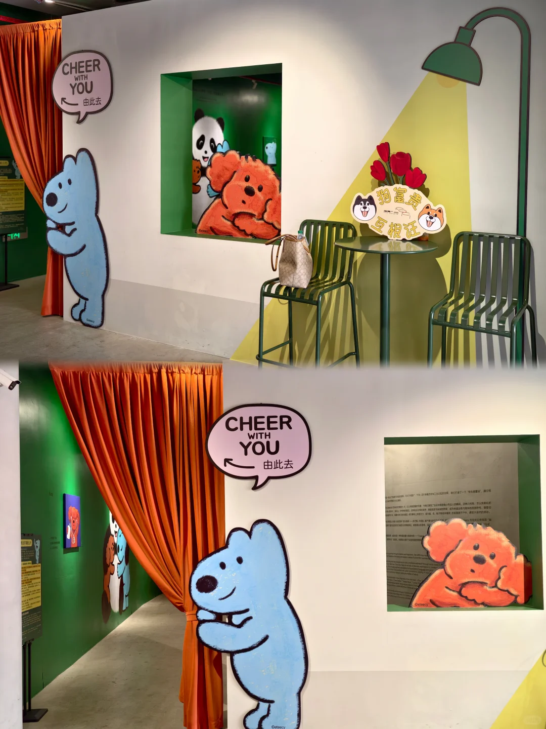 长沙新展|宠物友好的治愈小狗展免费看!