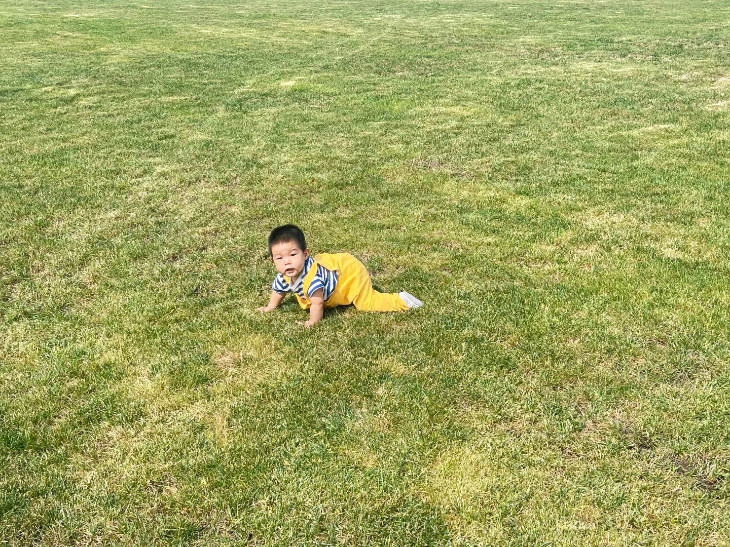 【天津周末遛娃】|津南国展中心码头