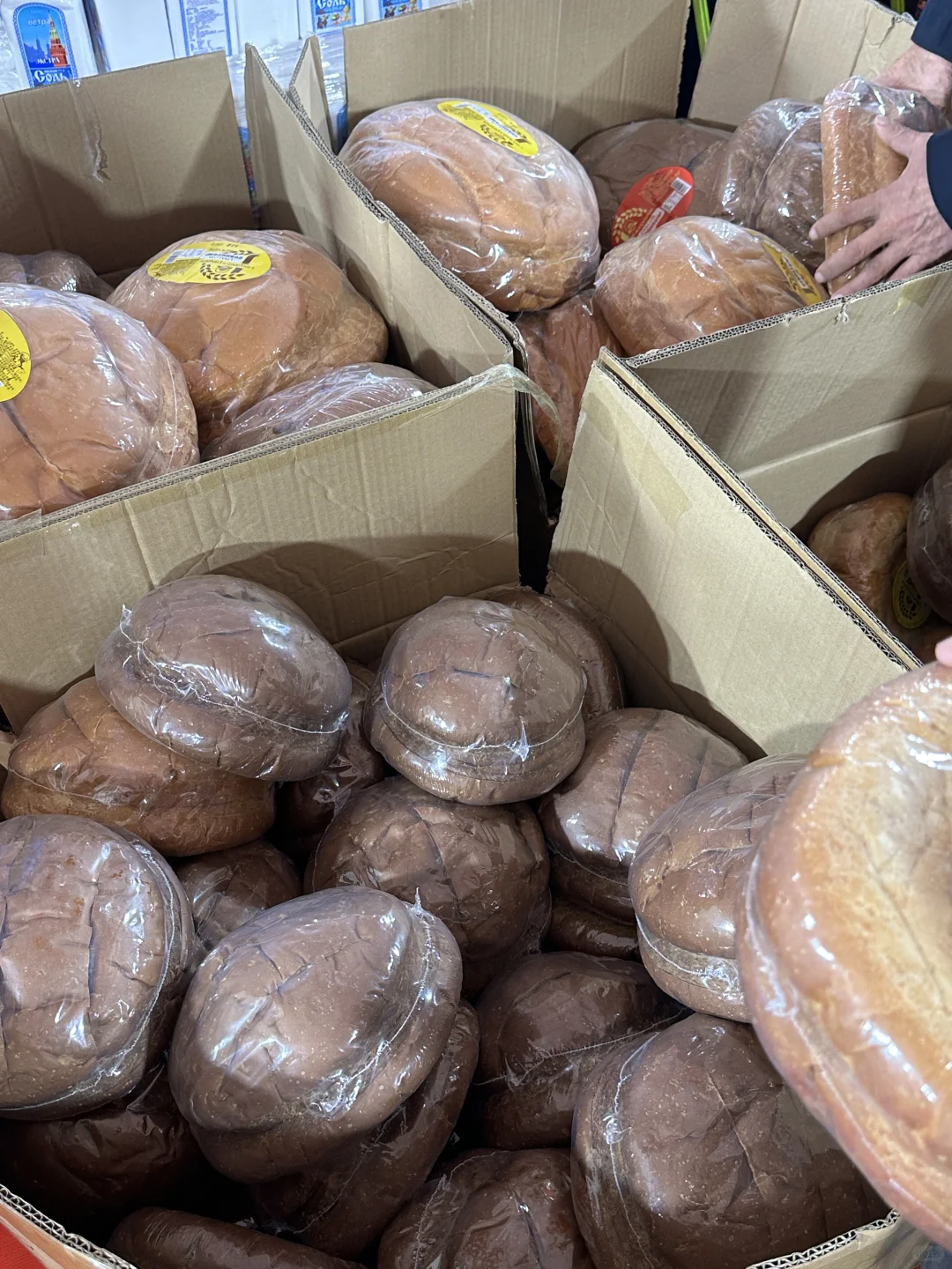 ?盐城中俄展销会，超超超大！大列巴！