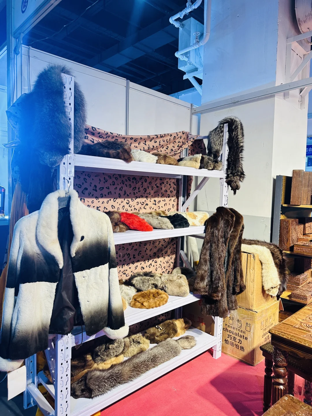 呼和浩特?东北亚博览会去啦?