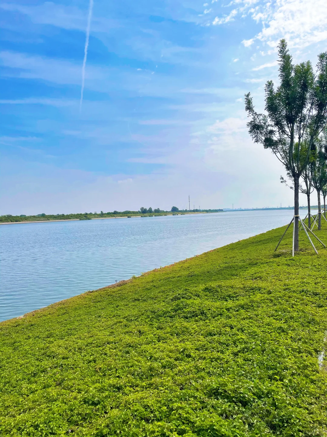 【天津周末遛娃】|津南国展中心码头