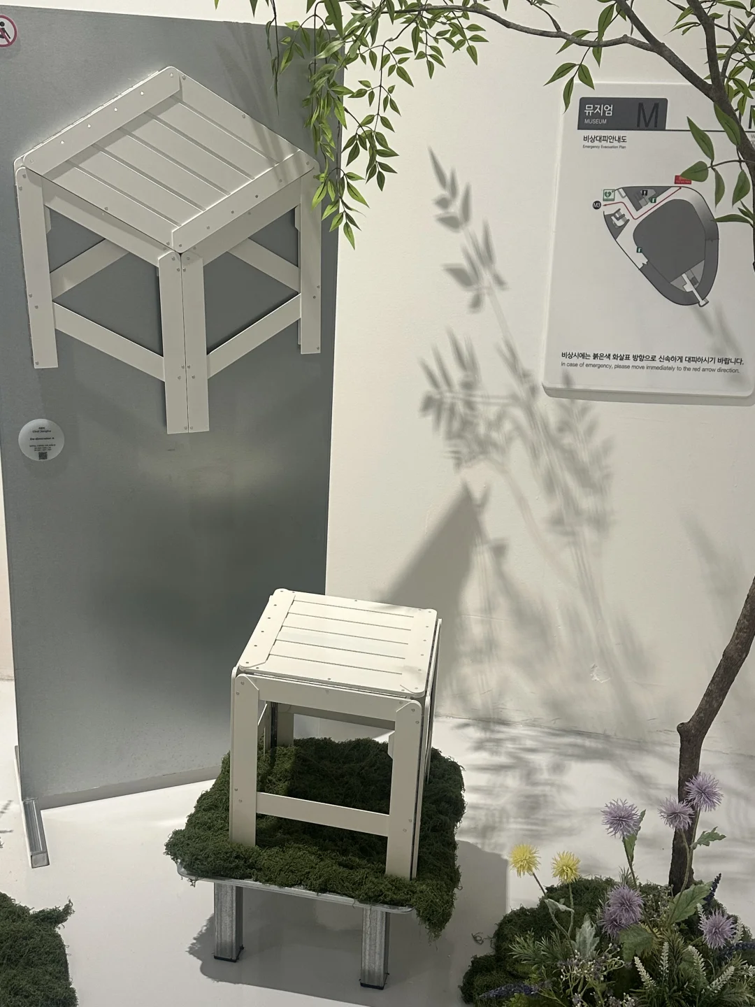 ??艺术花园｜东大门免费展览，无需预约?