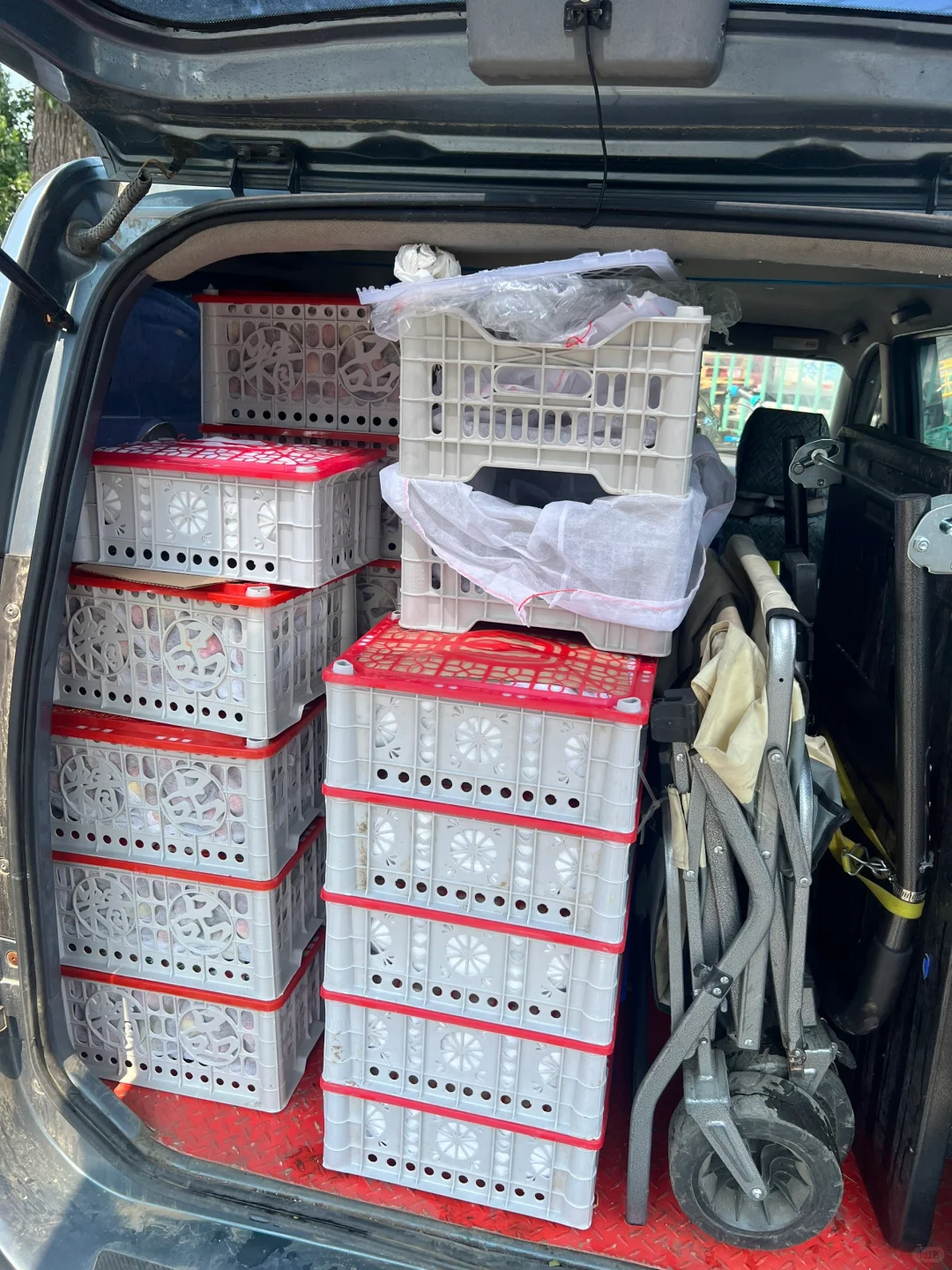 做社区团购的1年零31天