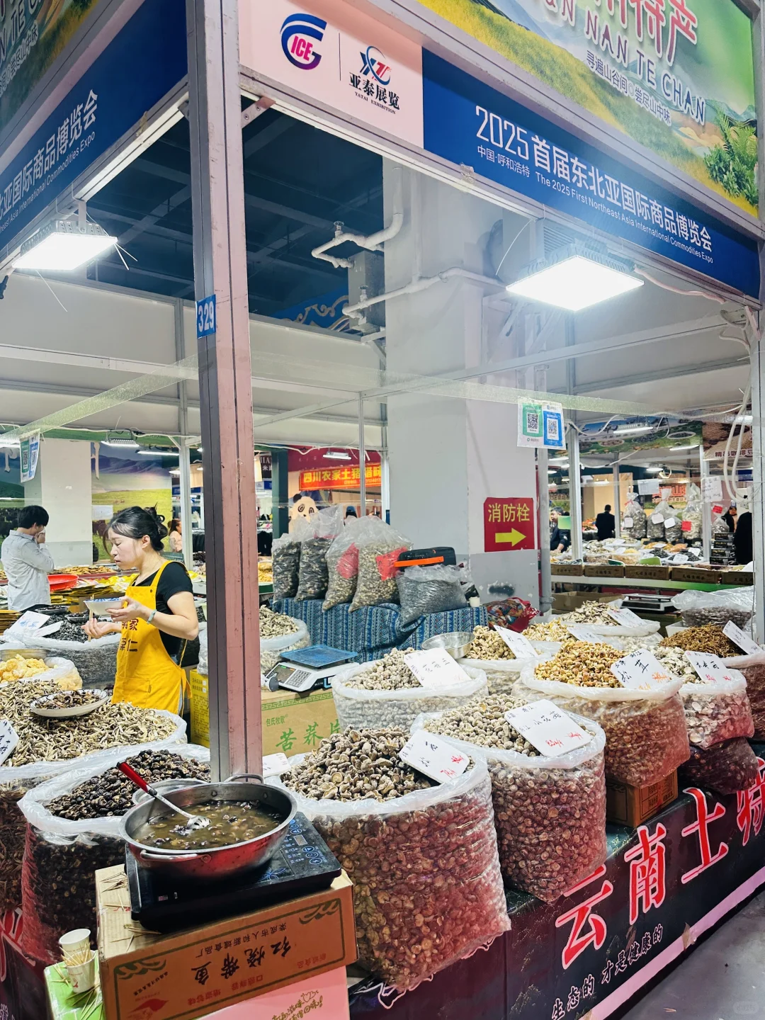 呼和浩特?东北亚博览会去啦?