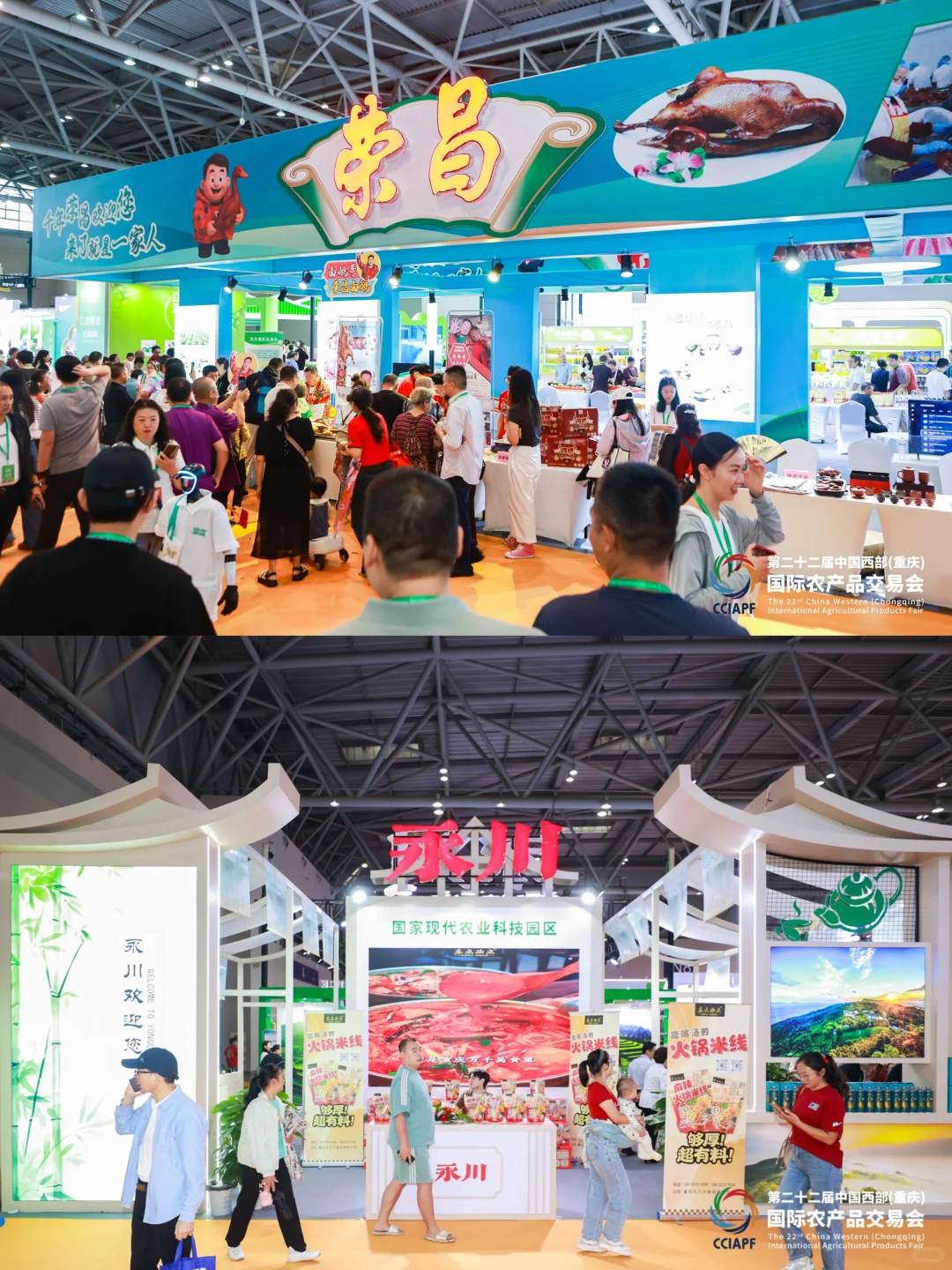 重庆人快冲！农展会免费猪肉领到手软