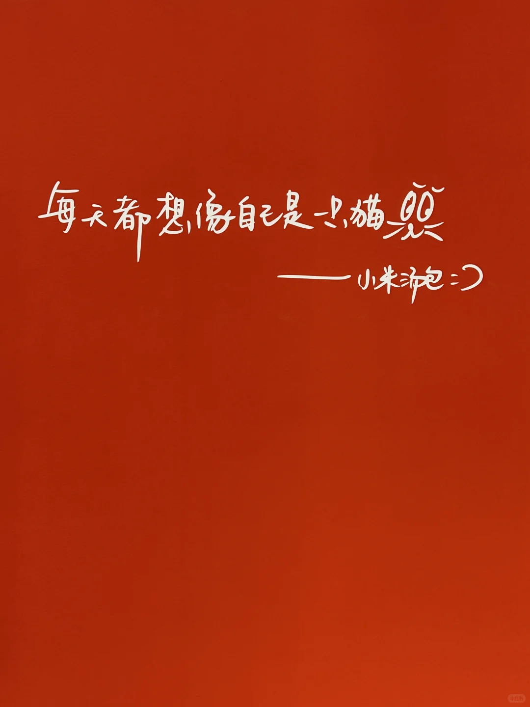 看看?设计深圳2025，比想象中精致