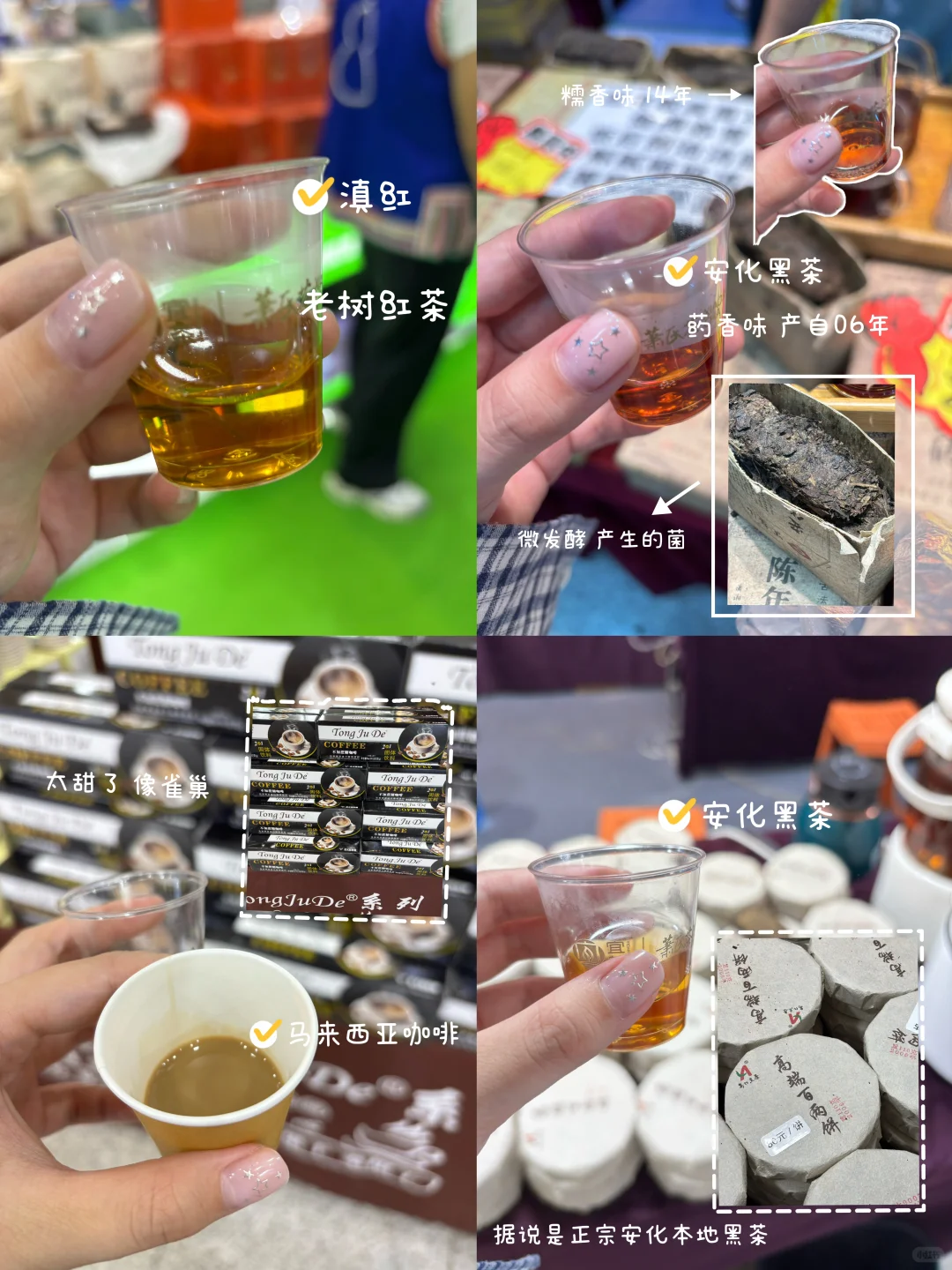 大学生勇闯茶博会…看看都喝到什么吧