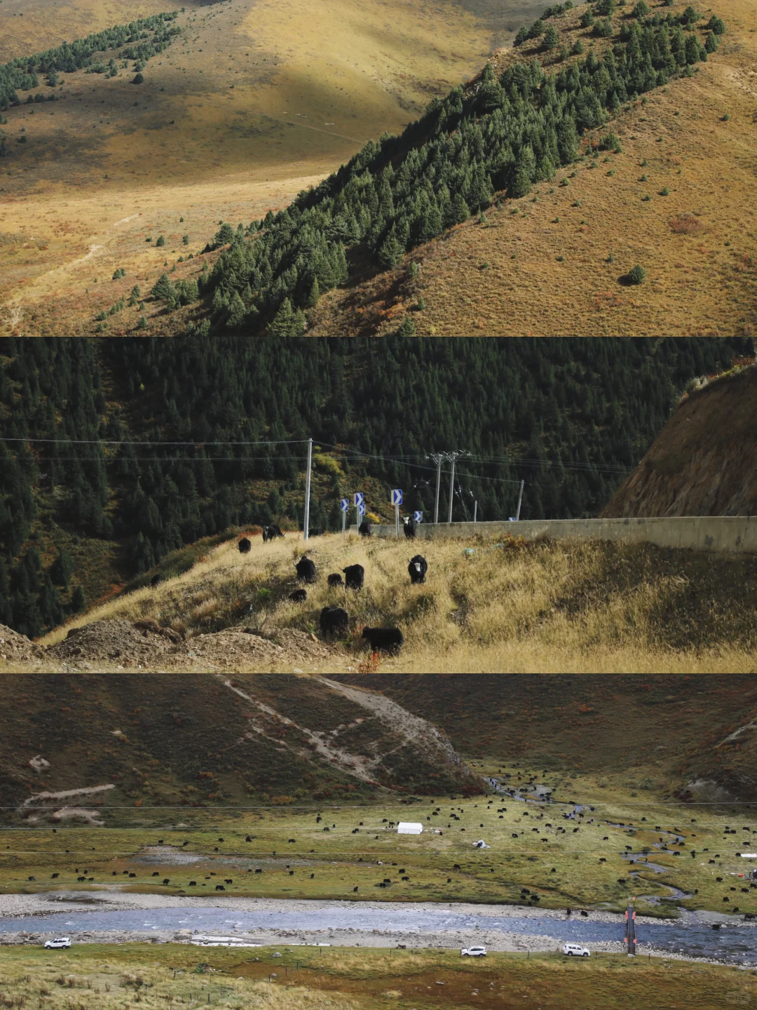 成都—甘孜小众路线,反向游不堵车