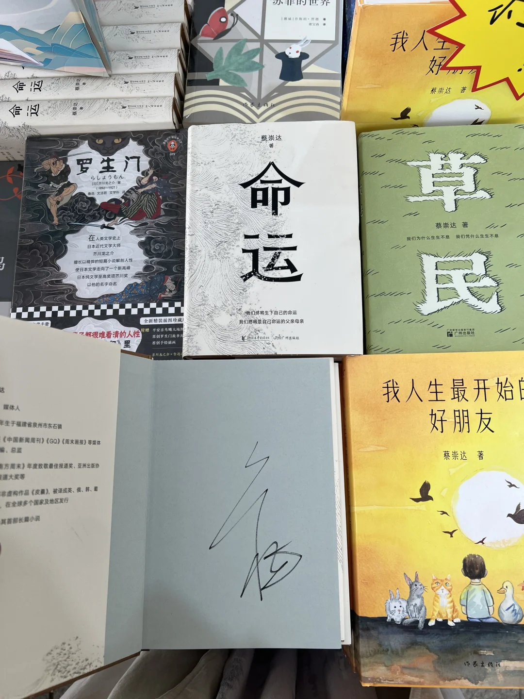 石家庄惠民书市