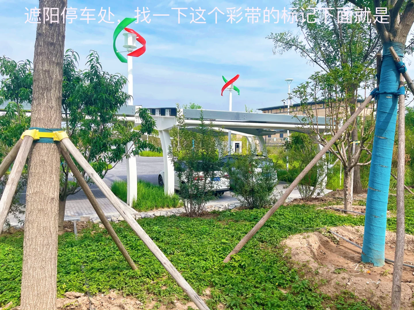 【天津周末遛娃】|津南国展中心码头