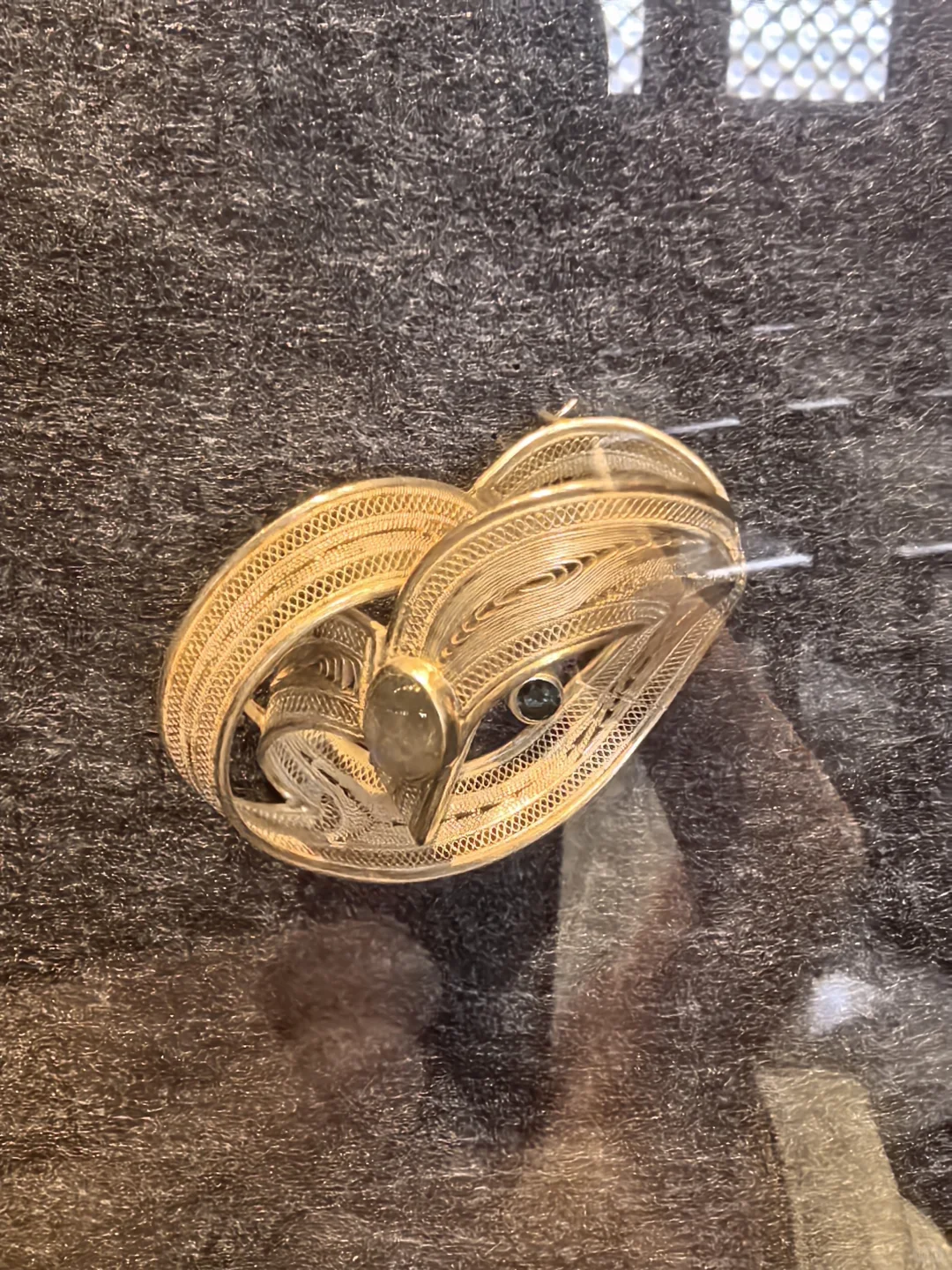 现实版脱水后的三体人