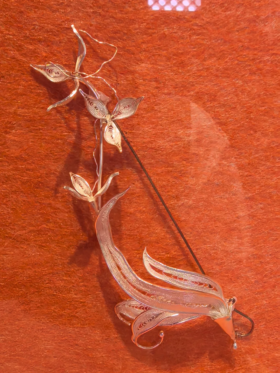 现实版脱水后的三体人