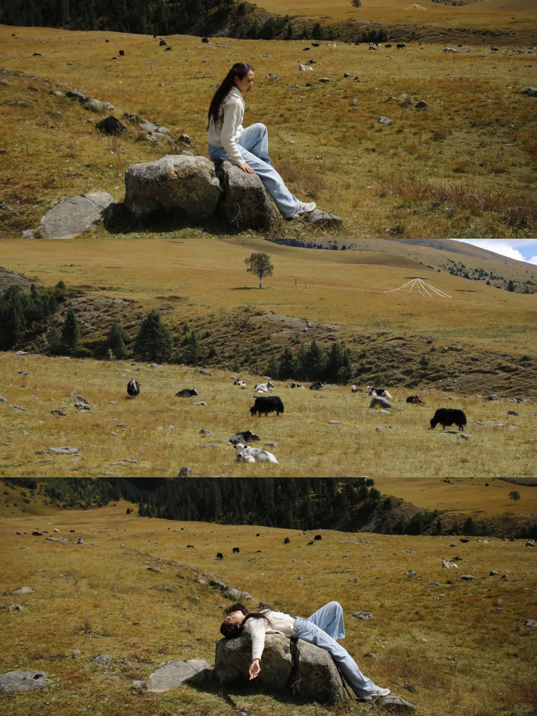 成都—甘孜小众路线,反向游不堵车