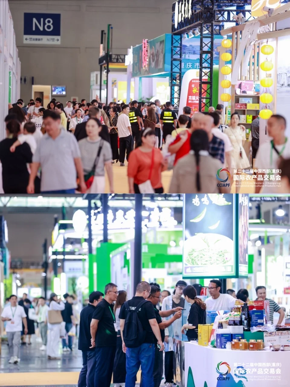 重庆人快冲！农展会免费猪肉领到手软