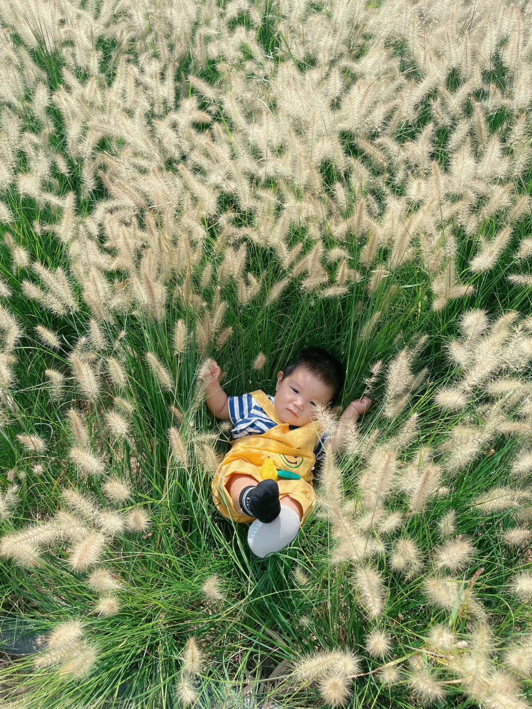 【天津周末遛娃】|津南国展中心码头