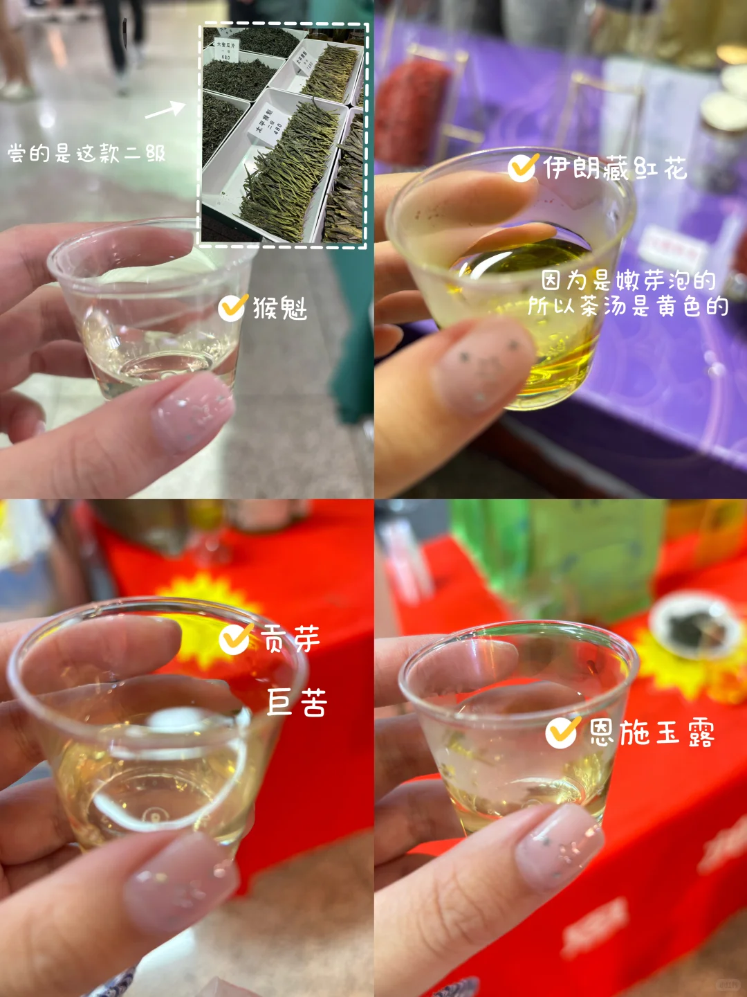 大学生勇闯茶博会…看看都喝到什么吧