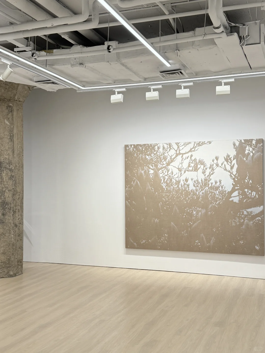 上海9月免费?展 ｜可以N展连看！