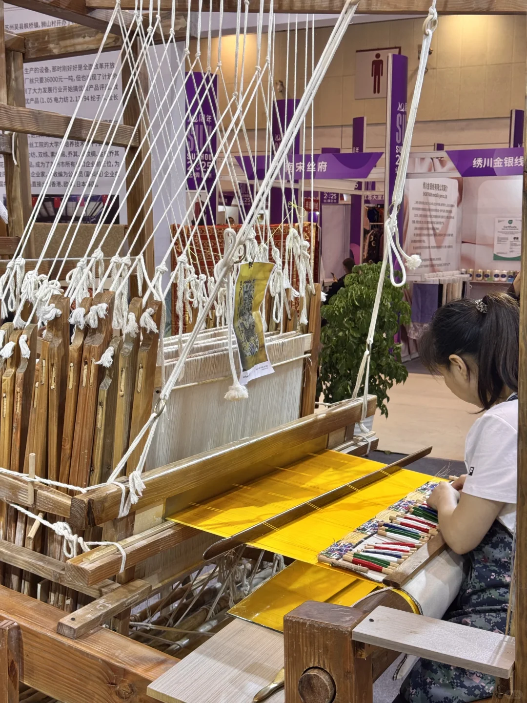 苏州！！预计周末有5w人来这里...