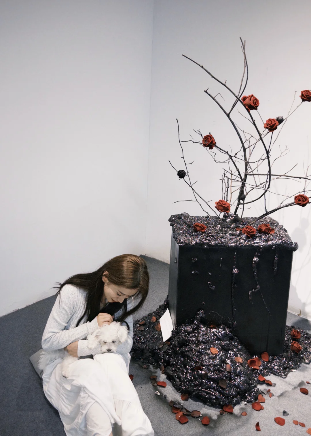 邯郸10月必冲的艺术展