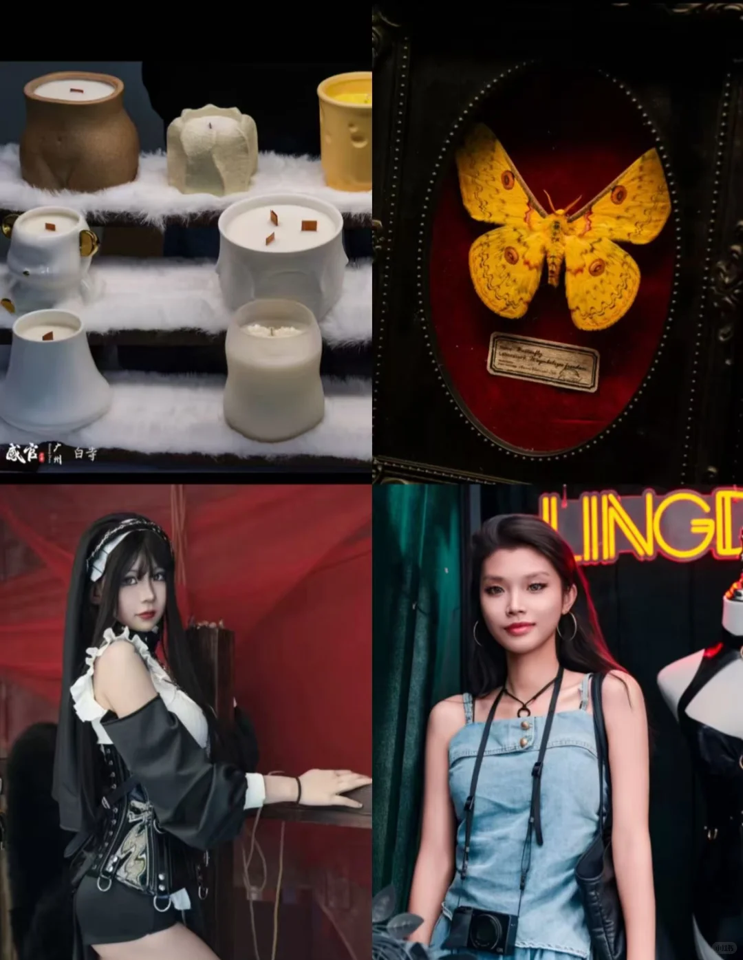 石家庄小众展览！别惊讶，这很正常！