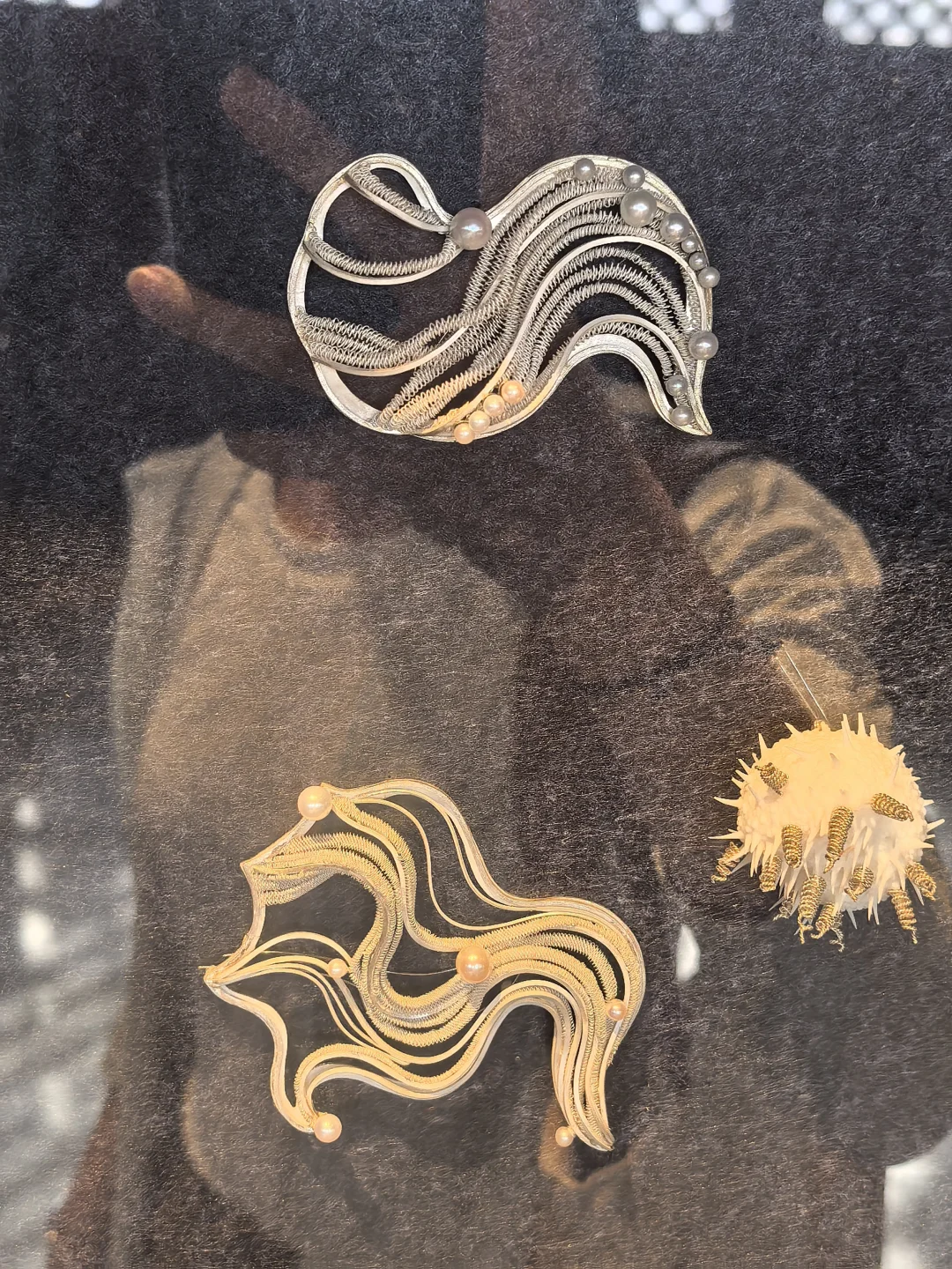 现实版脱水后的三体人